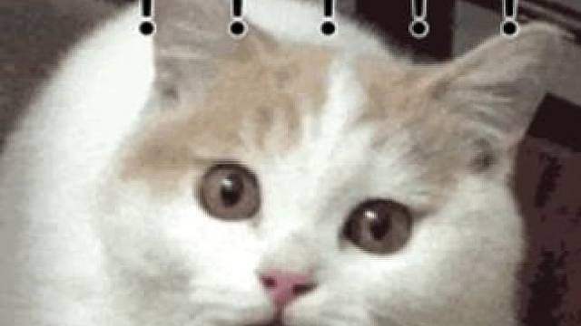 闺蜜，我真没有在开玩笑