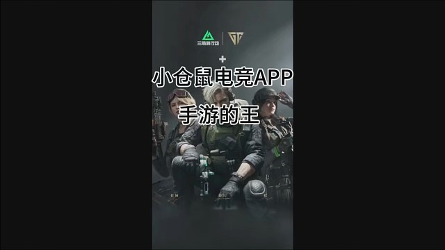 小仓鼠电竞       三角洲手游体验单 88/688