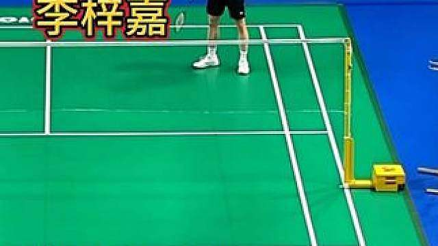 李梓嘉参加林丹杯能拿第几名？看完已有答案
