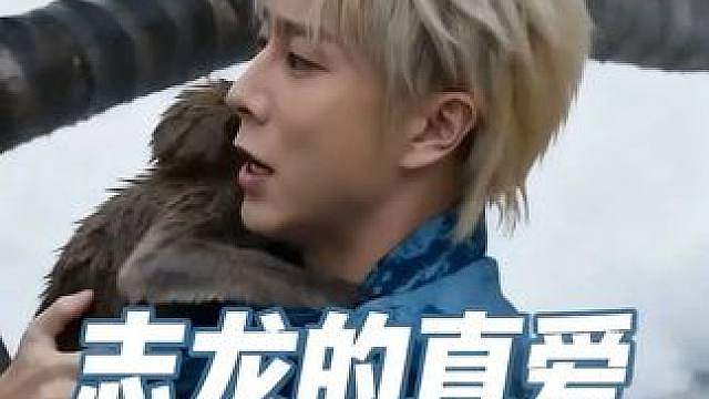龙锅与猴子才是真爱