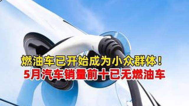 燃油车已开始成为小众群体！ 5月汽车销量前十已无燃油车。