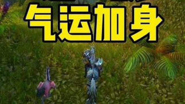 死亡骑士正在追杀一猎人 猎人是高手有气运加身 PVP攻略