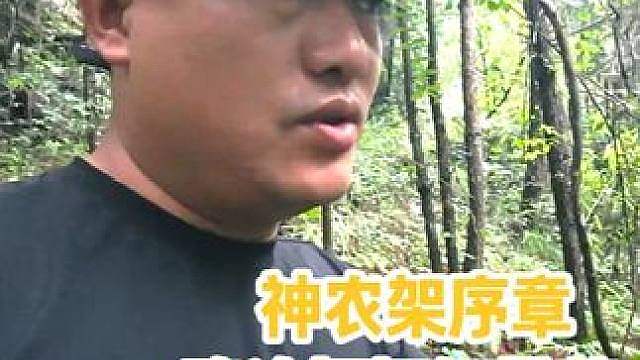 神农架序章 新的冒险即将开启 老表送行出发神农架 深山松针藏枞菌 一口鲜到骨子里
