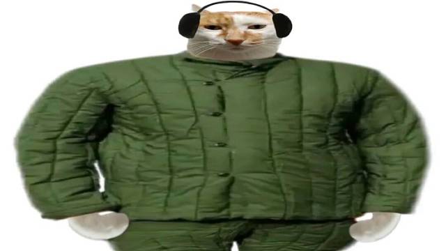 四肢不协调者