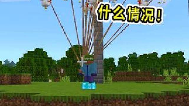 鸡还能当降落伞？还有这种操作？