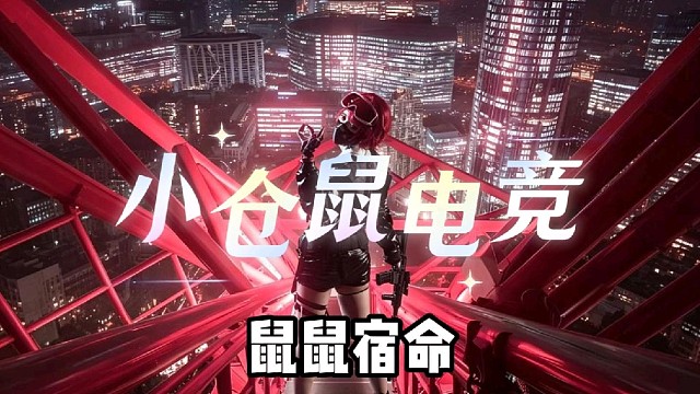 小仓鼠电竞  三角洲魔王体验单 88/688