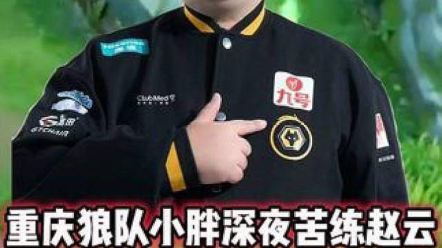 狼队小胖时隔多年再次拿出赵云，一技能出现失误，小胖状态太迷了
