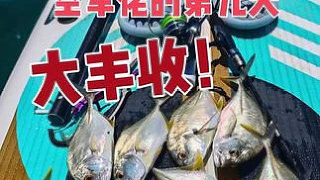 钓鱼来的早不如来的巧呐