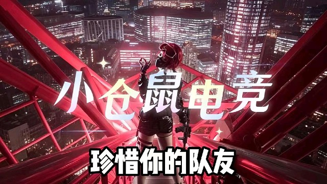 小仓鼠电竞     三角洲护航俱乐部体验单 88/688