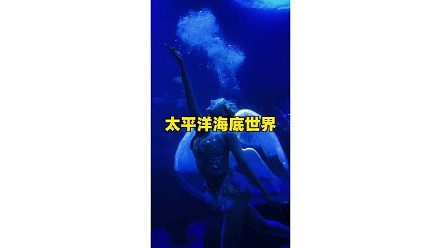 潜入深蓝，邂逅花神美人鱼