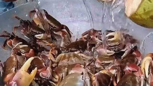 刚抓的一大锅螃蟹，看东南亚海边人怎么烹饪吃的，很有当地特色