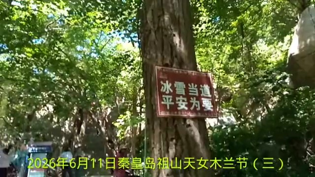 2026年6月11日秦皇岛祖山天女木兰节（三）