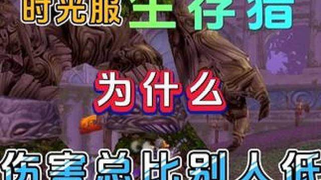 魔兽世界怀旧服 时光服 你的生存猎为什么伤害总没别人高 输出手法