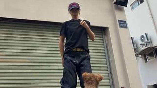 狗哥入镜（二） 内心：狗生新体验之近距离观看人跳舞