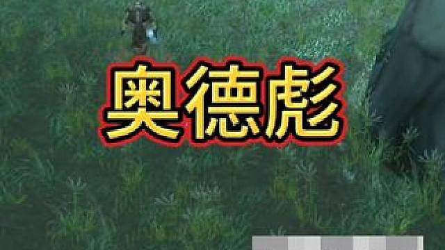 奥德彪