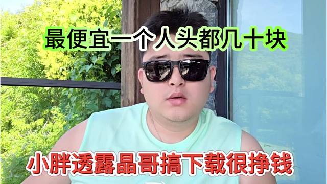 小胖透露晶哥搞下载很挣钱，最便宜一个人头头几十块