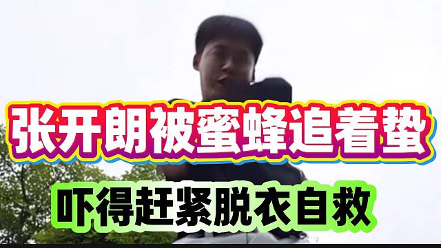 离谱！张开朗竟被蜜蜂追着蛰，吓得赶紧脱衣自救！