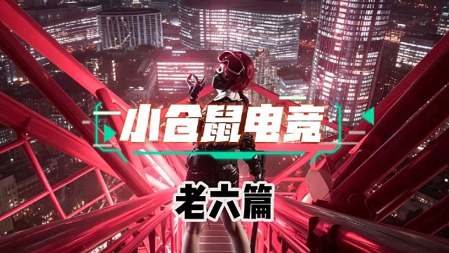 小仓鼠电竞       三角洲护航俱乐部体验单 88/688