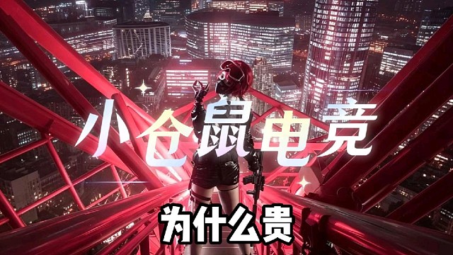 小仓鼠电竞       三角洲护航俱乐部体验单 88/688