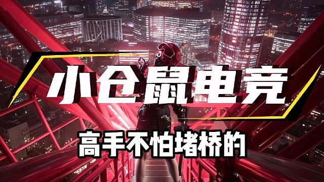 小仓鼠电竞       三角洲护航俱乐部体验单 88/688