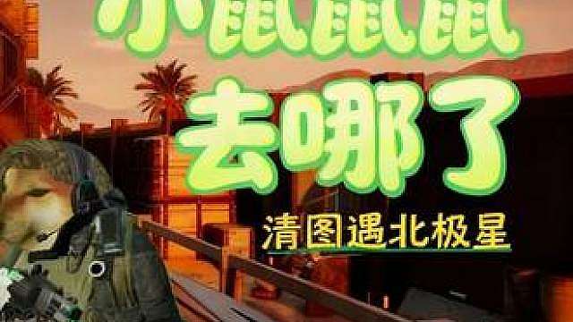 此刻的乌鲁鲁这才意识到，自己养的鼠鼠早就被人骗杀了！