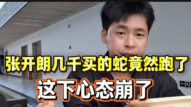 张开朗花费几千买的蛇竟然在公司跑了！这下心态崩了！