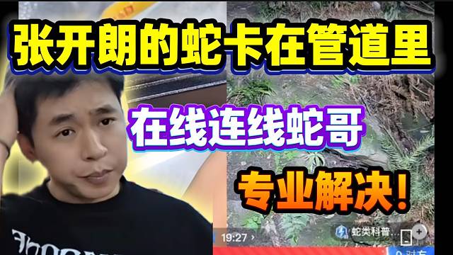张开朗的蛇“越狱”竟卡在管道里！在线连麦求助蛇哥！