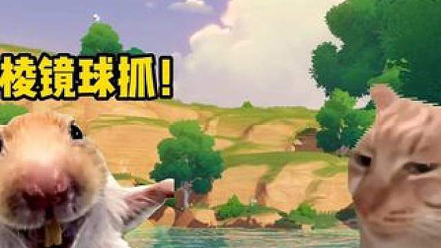 集齐不同表情的小夜