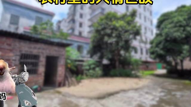 农村里的人情世故 #猫meme #内容过于真实 #万万没想到 #意想不到的结局 #农村生活