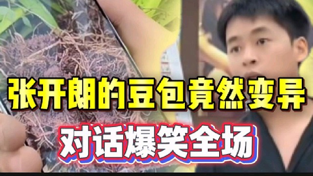 张开朗的豆包竟然“变异”了，两人对话爆笑全场!