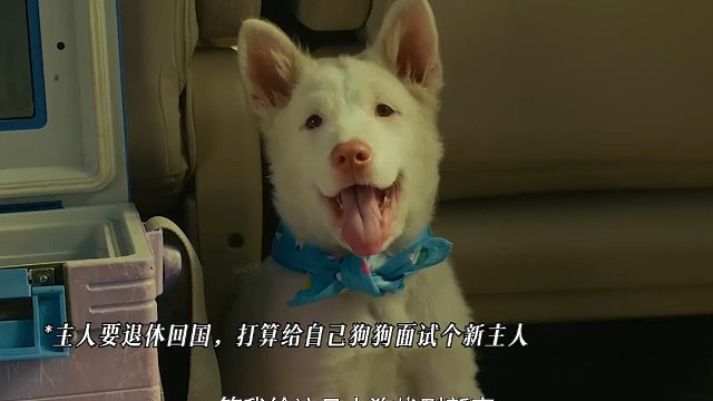 它是你生活的一部分，但你却是它的一生#电影心犬相随 #看完心犬相随感觉被小狗拥抱了