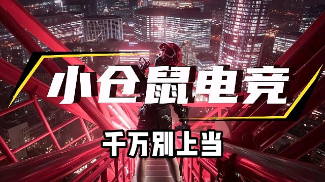 小仓鼠电竞       三角洲俱乐部体验单30/h