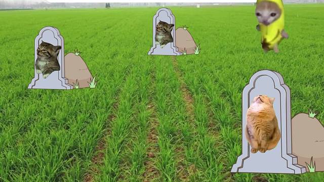 当00后成为清明祭祀主力#猫meme #清明节 #00后