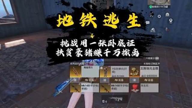 挑战用一张卧底证扶贫豪猪赚千万撤离