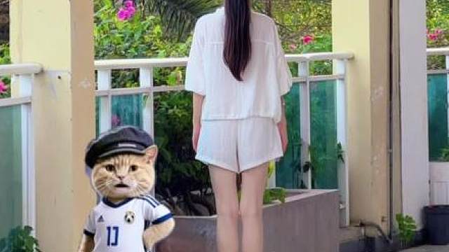 2026世界杯主题曲《DaiDai》舞蹈来咯 编舞：