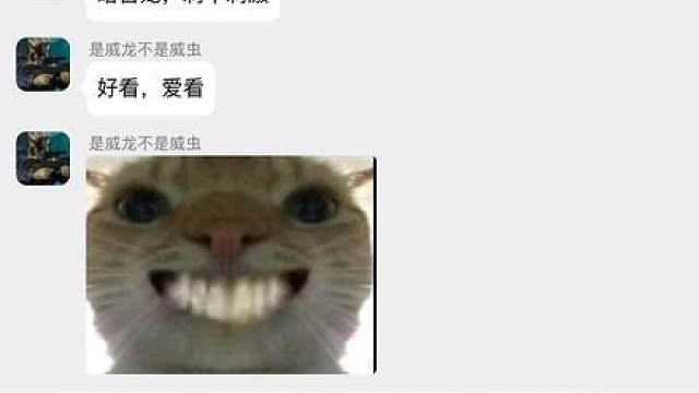 疑似三角洲干员内部群聊流出！