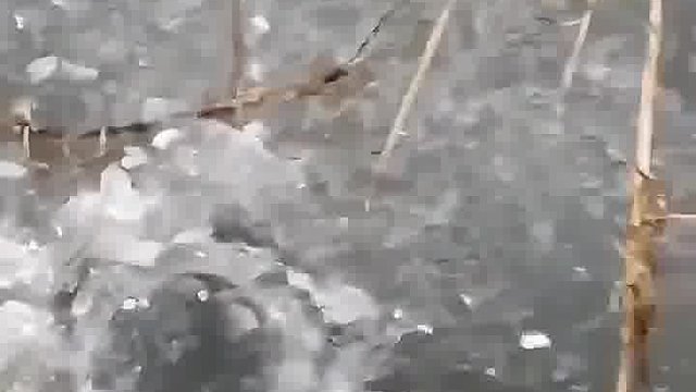 这烟花威力真大