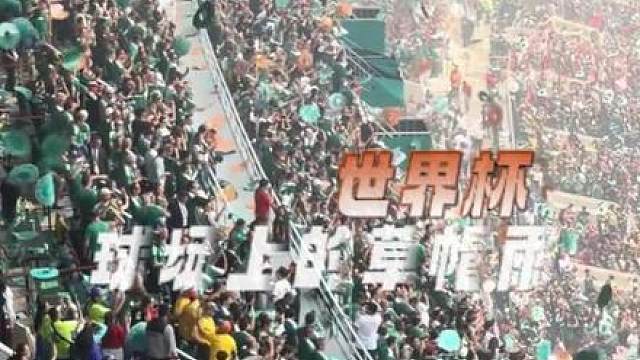 终有一天我们百无禁忌