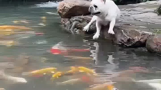 这就是嚣张的后果