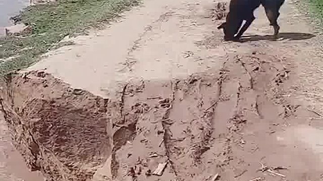直觉是对的