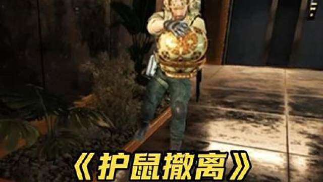 鼠鼠拿“万金泪冠”认大哥，12杀清图掩护撤离！