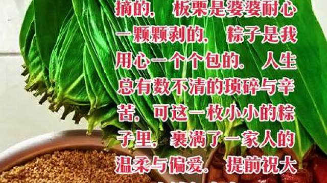 粽叶是妈妈亲手一片片摘的，
板栗是婆婆耐心一颗颗剥的，
粽子是我用心一个个包的。
人生总有数不清的琐碎与辛苦，可这一枚小小的粽子里，裹满了一家人的温柔与偏爱。
提前祝大家端午安康。