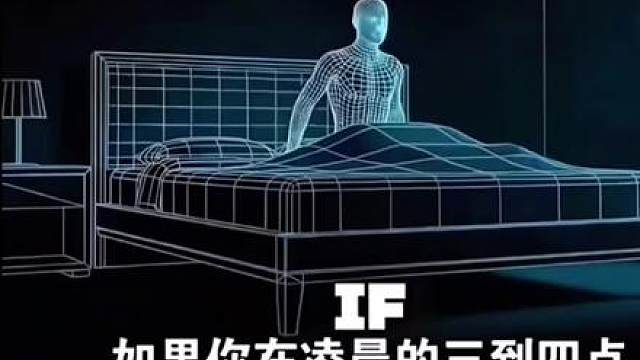 美加墨世界杯