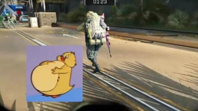 蜂医：真正的心寒不是大吵大闹