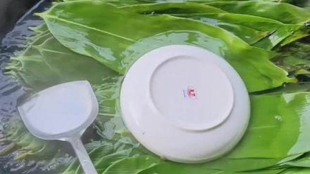 第二十三集：吃粽子是端午节的传统习俗，你们一定要认真对待，好好学习，学会了记得交作业