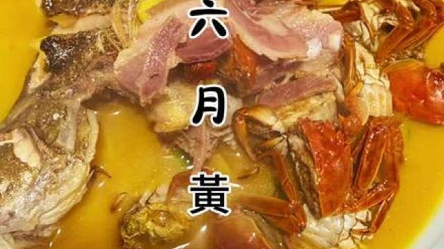 六月黄配鳜鱼去烧味道鲜美！