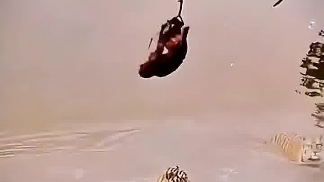 虎落平阳！结局亮了！