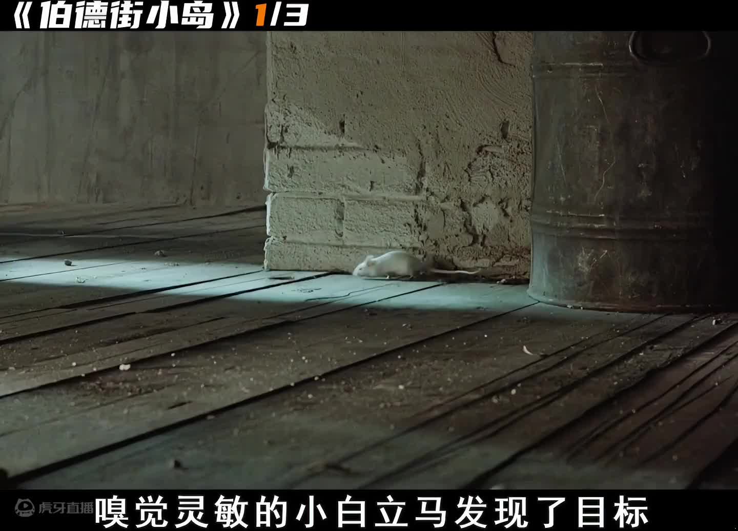 十岁犹太男孩利用自己的聪明才智，独自在废墟中熬到战争结束