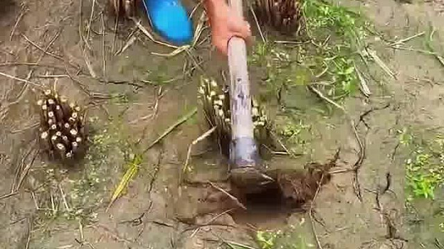 现在再次看到这场景真是满满的回忆