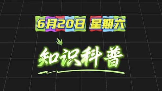 第十一期，世界杯知识科普